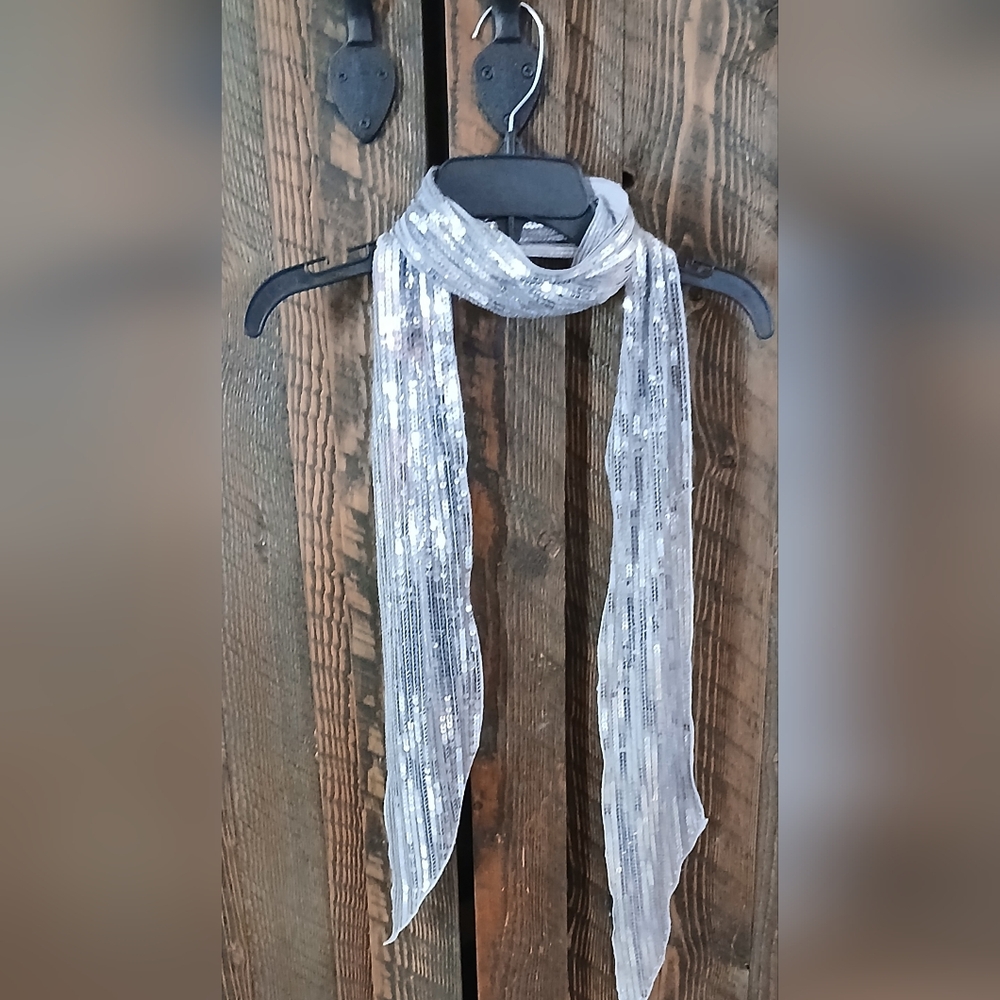 Shimmering Silver Scarf